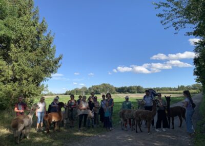 Teamevent Alpakahof München 2025